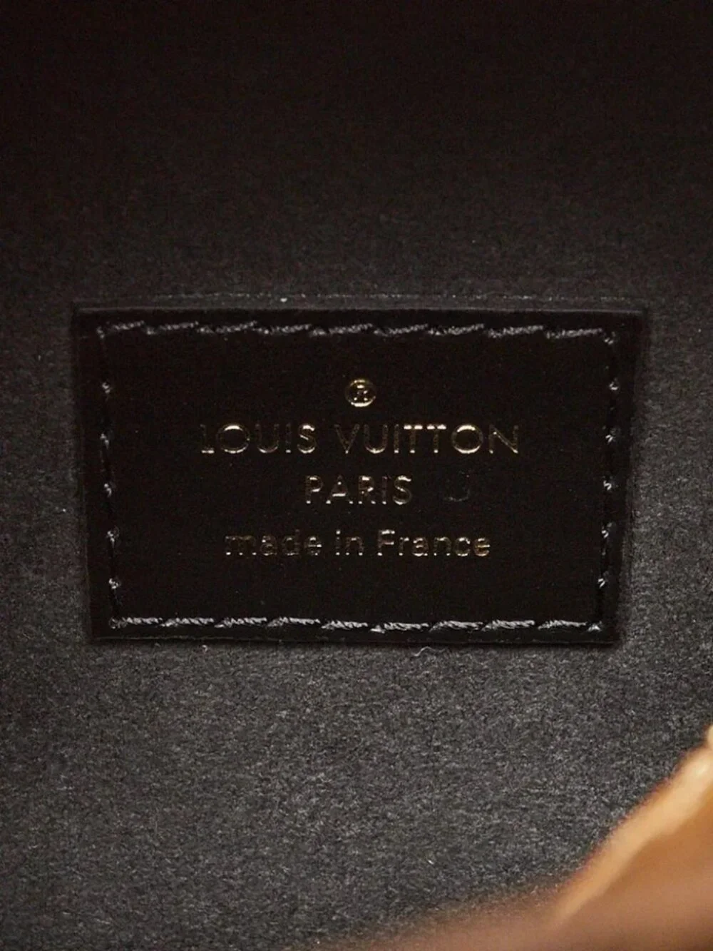Louis Vuitton Reverse Monogram Coated Canvas/Leather Square Bag